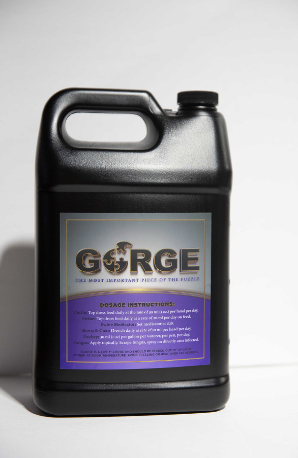 GORGE - Gallon