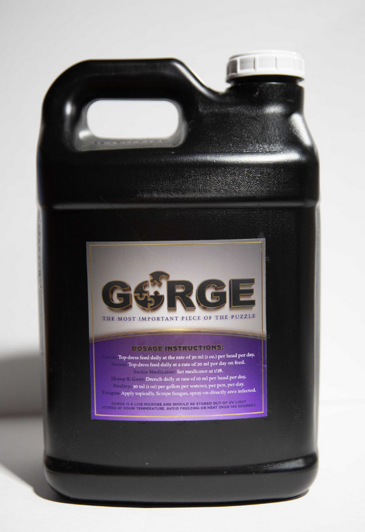 GORGE - 2 1/2 Gallon